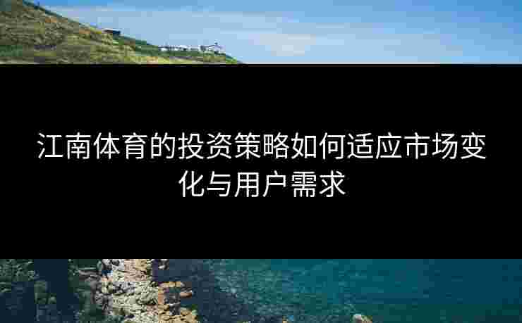 江南体育的投资策略如何适应市场变化与用户需求